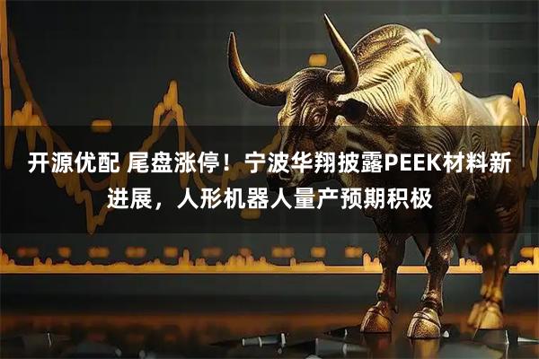 开源优配 尾盘涨停！宁波华翔披露PEEK材料新进展，人形机器人量产预期积极