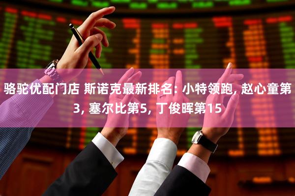 骆驼优配门店 斯诺克最新排名: 小特领跑, 赵心童第3, 塞尔比第5, 丁俊晖第15